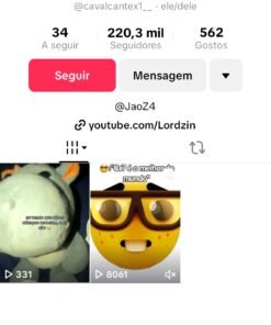 Conta -tik tok-230,3mil-videos de rotina e resenha