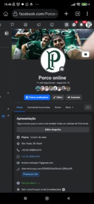 Pagina esportiva do Palmeiras. (Porco Online) 11 mil seguidores - Imagem 2