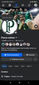 Pagina esportiva do Palmeiras. (Porco Online) 11 mil seguidores - Imagem 4