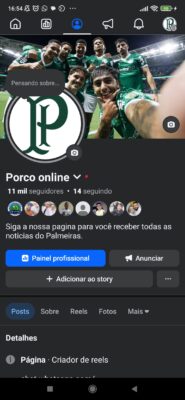 Pagina esportiva do Palmeiras. (Porco Online) 11 mil seguidores - Imagem 4