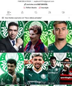 CONTA Tik Tok 30 mil seguidores monetizada