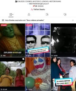 Conta de TikTok básica 381 Seguidores