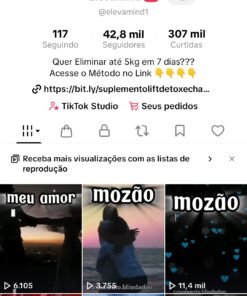 Conta Tiktok 42 seguidores