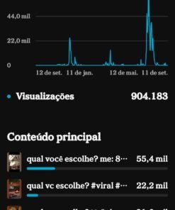 Canal do YouTube com grande potencial de monetização Inscritos: 3.320+