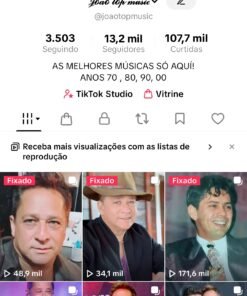 Conta tiktok monetizada nicho música sertaneja 13k