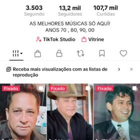 Conta tiktok monetizada nicho música sertaneja 13k