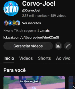 Canal Corvo-joel 2,58 mil inscritos
