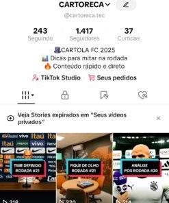 CONTA TIK TOK 1417 Seguidores