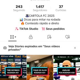 CONTA TIK TOK 1417 Seguidores