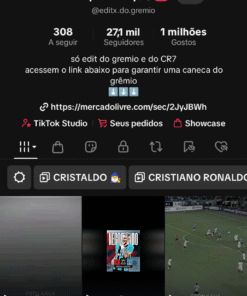 Conta do Tiktok 27K