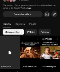 Canal YouTube com 308 inscritos