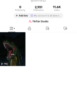 TikTok do reino Unido 2951 Seguidores