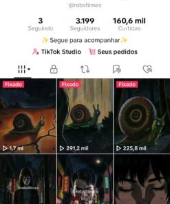 Conta tiktok 3k nicho terror, com vídeos virais com mais de 1 milhão de visualização