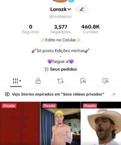 Tiktok lyrics/Memes (Bom engajamento) 3580 Seguidores