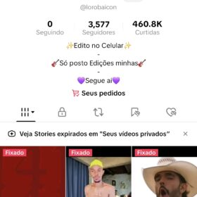 Tiktok lyrics/Memes (Bom engajamento) 3580 Seguidores