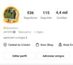 Conta kwai lifestyle 500 seguidores - Imagem 3