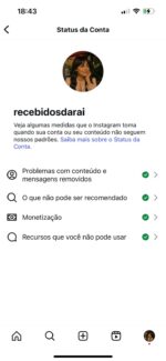 Instagram achadinhos de moda, beleza, crescimento 100% orgânico, 99% público feminino com 15.900 seguidores - Imagem 2