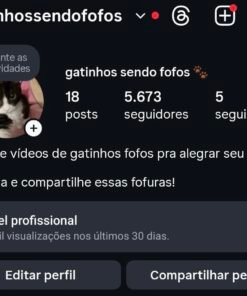 Instagram de 5K crescendo seguidores e com status limpo ✅🚀