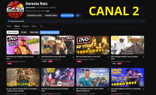 Combo Premium: 5 CANAIS com Alto Engajamento + MONETIZAÇÃO - Imagem 4