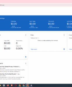 Site monetizado no adsense