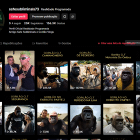 Canal TIKTOK monetizado MUITO LUCRATIVO 25K