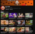 CANAL YOUTUBE MONETIZADO | 3,38K SUBS |+240 MIL VIEWS | 20 VÍDEOS | NICHO PET / CURIOSIDADES CANINAS