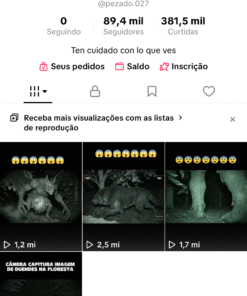 Conta de TikTok 89k de seguidores