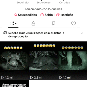 Conta de TikTok 89k de seguidores