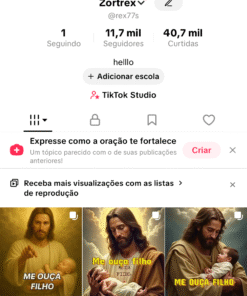 Conta TikTok com 11,7 mil Seguidores