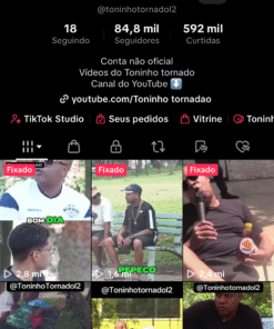 Tiktok com 84.8k seguidores | nicho viral rendendo sozinho, monetizado e com Tiktok shop ativo pronto pra uso (porém já tem doc)