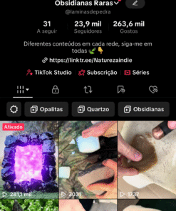 Conta TikTok com 23,9K seguidores (Monetizada)