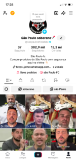 Conta TIKTOK verificada com 302,9 mil Seguidores