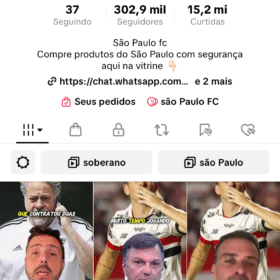 Conta TIKTOK verificada com 302,9 mil Seguidores
