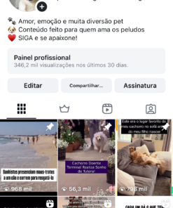 INSTA ORGÂNICO 128 mil seguidores ENGAJADO • PÚBLICO ATIVO E ENGAJADO