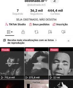 Conta tik tok com 36,2 mil de Seguidores