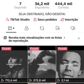Conta tik tok com 36,2 mil de Seguidores