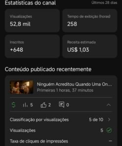 Canal do YouTube monetizado com 1,46 mil inscritos