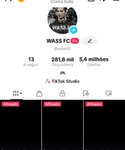 TikTok Com 280 mil de seguidores Monetizado ✅