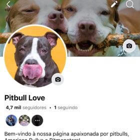 Pagina Facebook de cachorro com 4,5 mil seguidores