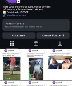Instagram de fofocas com 240 mil seguidores DISPONIVEL
