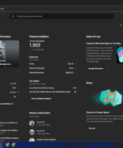 Gaming Monetization Enabled Camera Content Channel 1,9 mil inscritos(HQ) Animasi Kucing