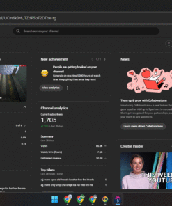 Monetized Reviews Channel com 1,7 mil inscritos for Sale: my love Pakistan r