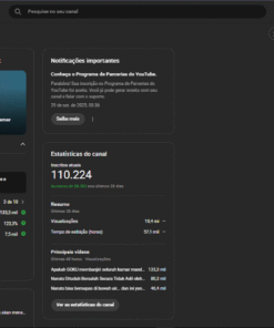 Canal Youtube com +100 Mil Inscritos com a placa disponivel para resgate