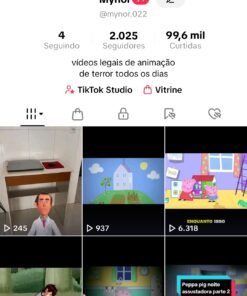 🚨🔥 VENDO MINHA CONTA DO TIKTOK! 🔥🚨 COM 2062 Seguidores