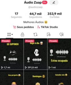 Tiktok com 44.7k de seguidores