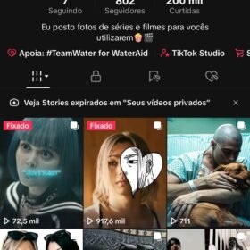 Conta Tik Tok barata com 739 Seguidores