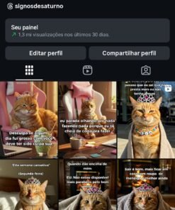 Conta Instagram com 80 mil seguidores Bem engajada - Seguidores Reais ( Restrição de Live )