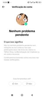 TIKTOK MONETIZADO COM MAIS DE 200K - Imagem 2