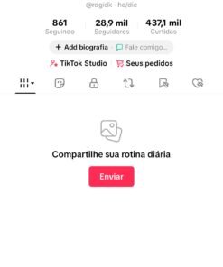 Conta TIKTOK 28,9 mil seguidores