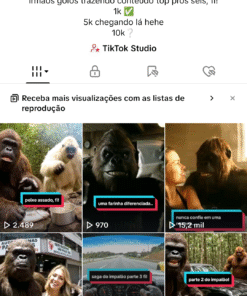 Conta tiktok com 4.465 seguidores | Venda rápida porque preciso de dinheiro.